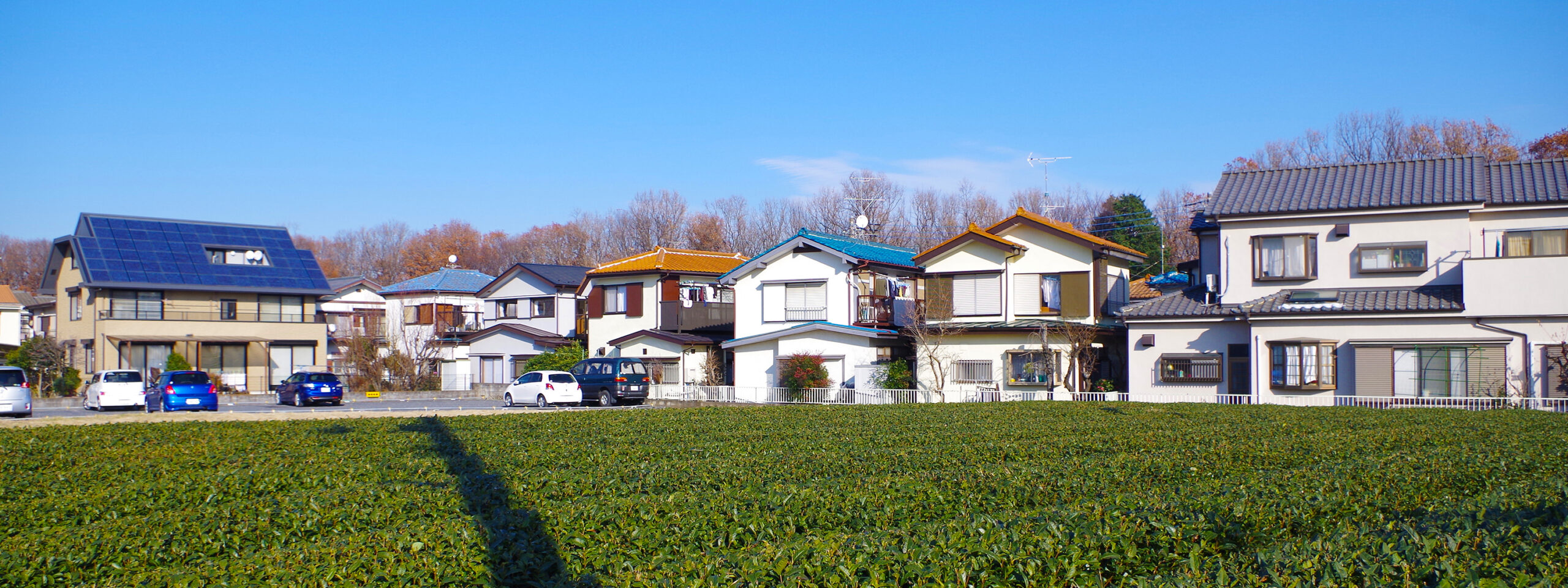 所沢市の住宅街