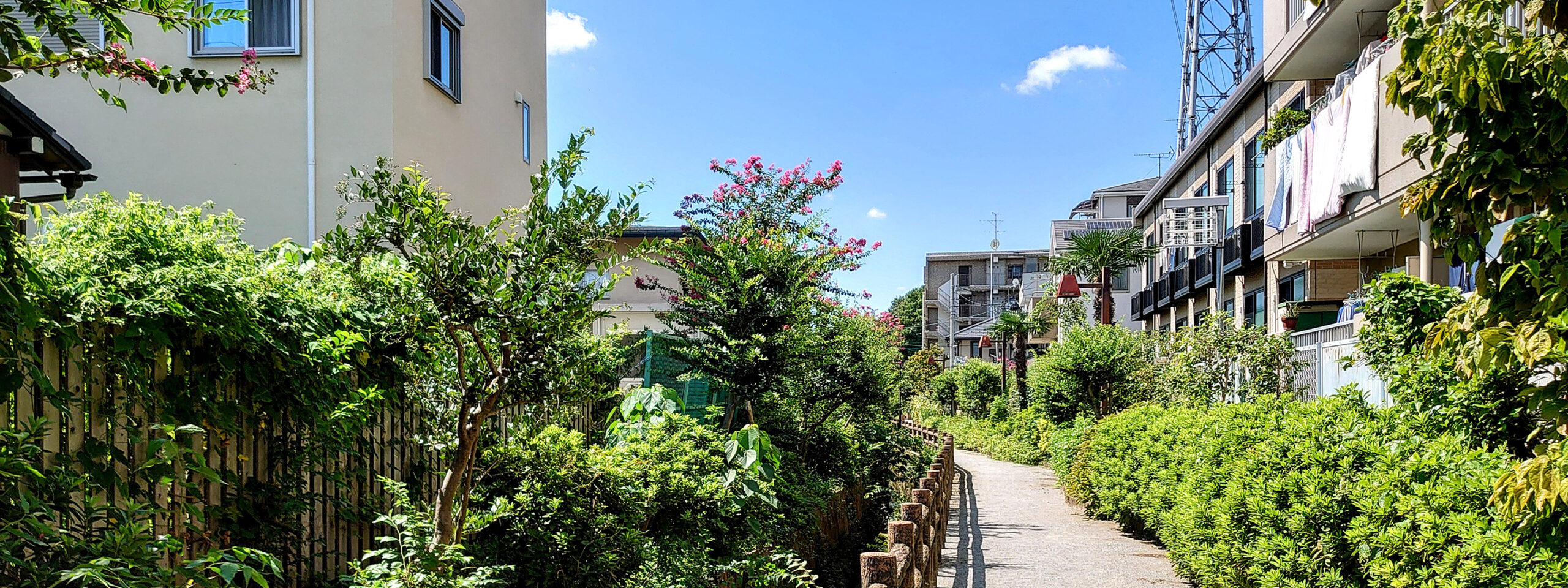 さいたま市南区